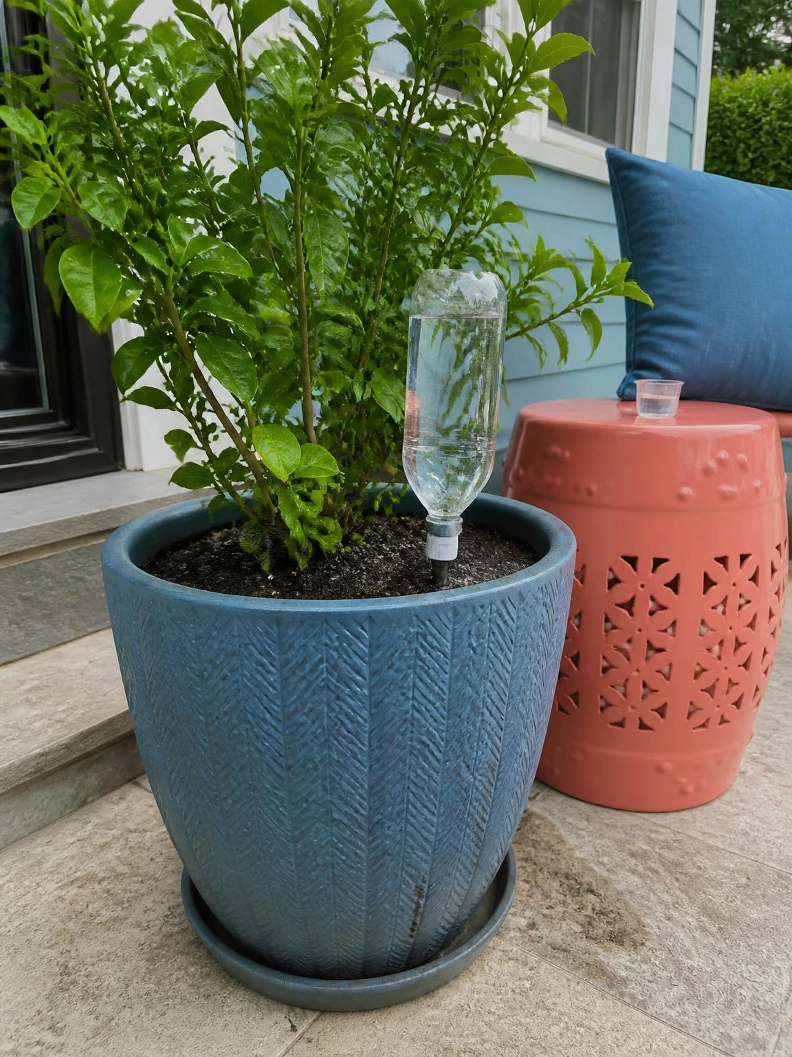 Recycled bottle drip irrigator steadily watering a healthy patio plant beside a coral garden stool for DIY garden projects